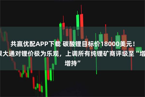 共赢优配APP下载 碳酸锂目标价18000美元！摩根大通对锂价极为乐观，上调所有纯锂矿商评级至“增持”