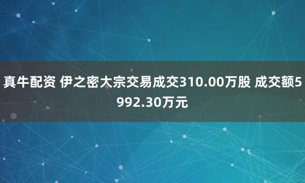 真牛配资 伊之密大宗交易成交310.00万股 成交额5992.30万元