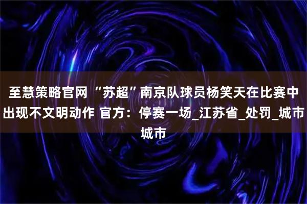 至慧策略官网 “苏超”南京队球员杨笑天在比赛中出现不文明动作 官方：停赛一场_江苏省_处罚_城市