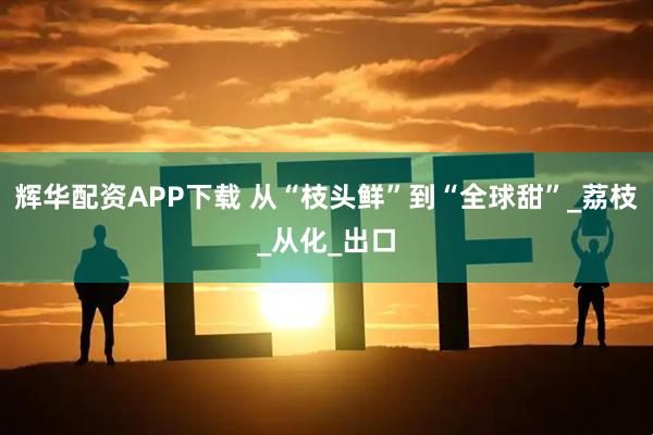 辉华配资APP下载 从“枝头鲜”到“全球甜”_荔枝_从化_出口