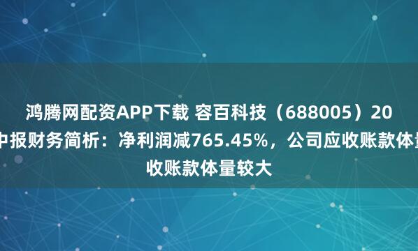 鸿腾网配资APP下载 容百科技（688005）2025年中报财务简析：净利润减765.45%，公司应收账款体量较大